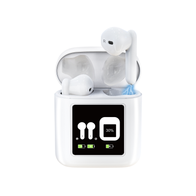 ENNO Ting DJ EN-D19 Digital Hearing aid Intelligent Noise Reduction,Large Screen for Battery Display